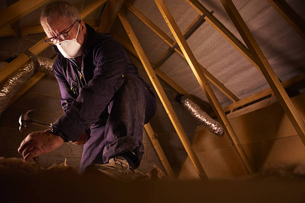 Best Cellulose Insulation in West Ack, NY